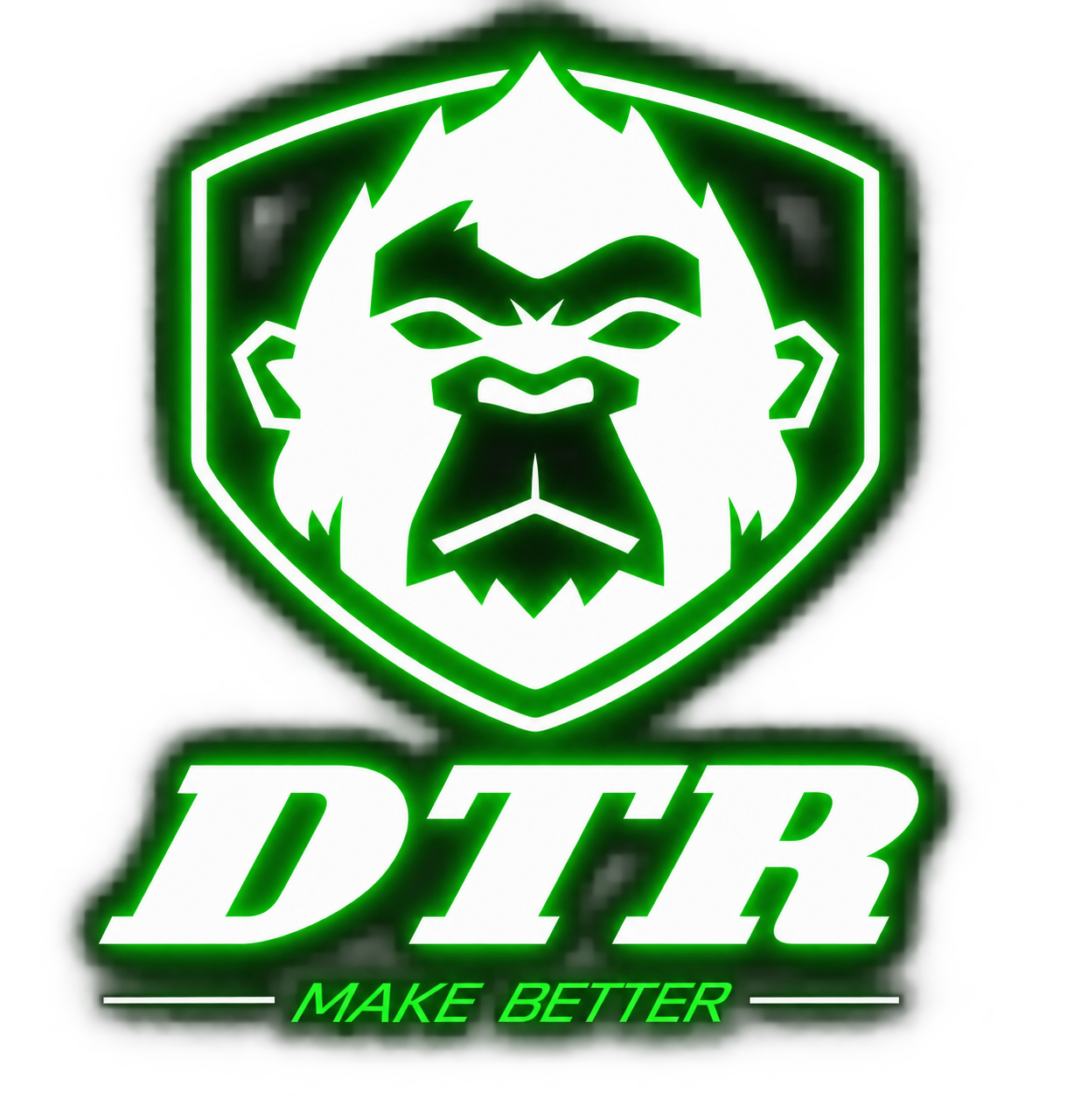 DTR logo